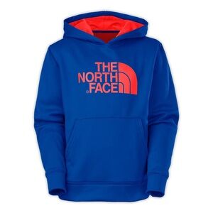 THE NORTH FACE Men’s LOGO SURGENT PULLOVER HOODIE